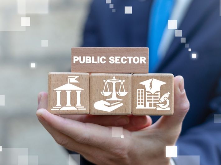 Government and Public Sectors